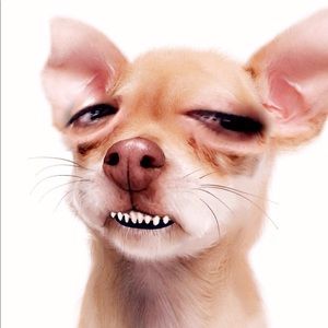 Meet your Posher, Neusa